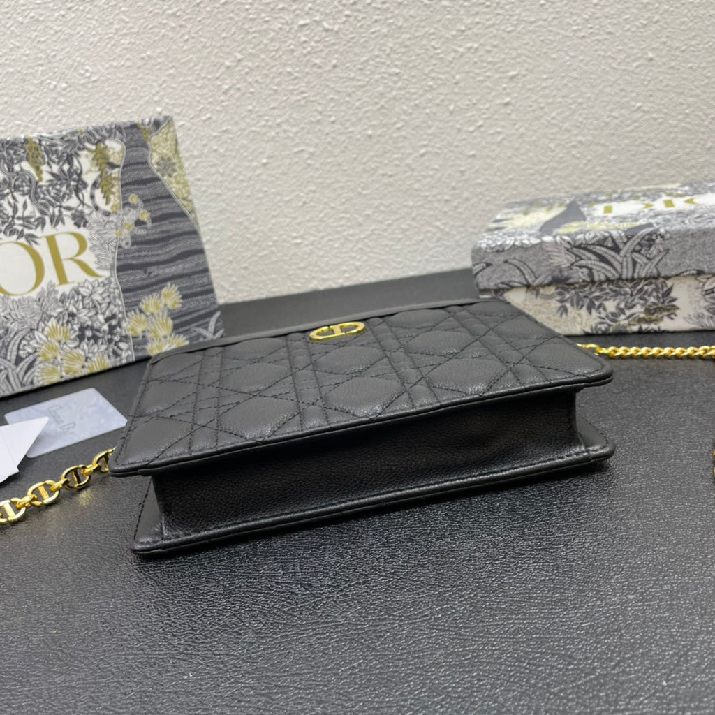 Dior Caro Pouch 19 Bag in Black Calfskin