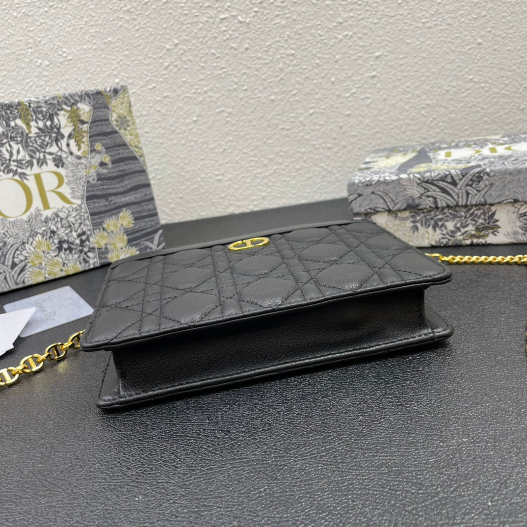 Dior Caro Pouch 19 Bag in Black Calfskin