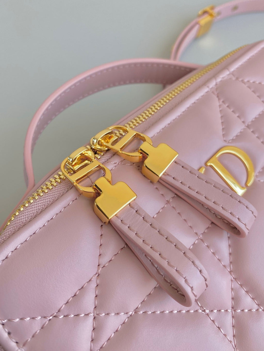 Dior Caro 18 Camera Bag in Light Pink Calfskin