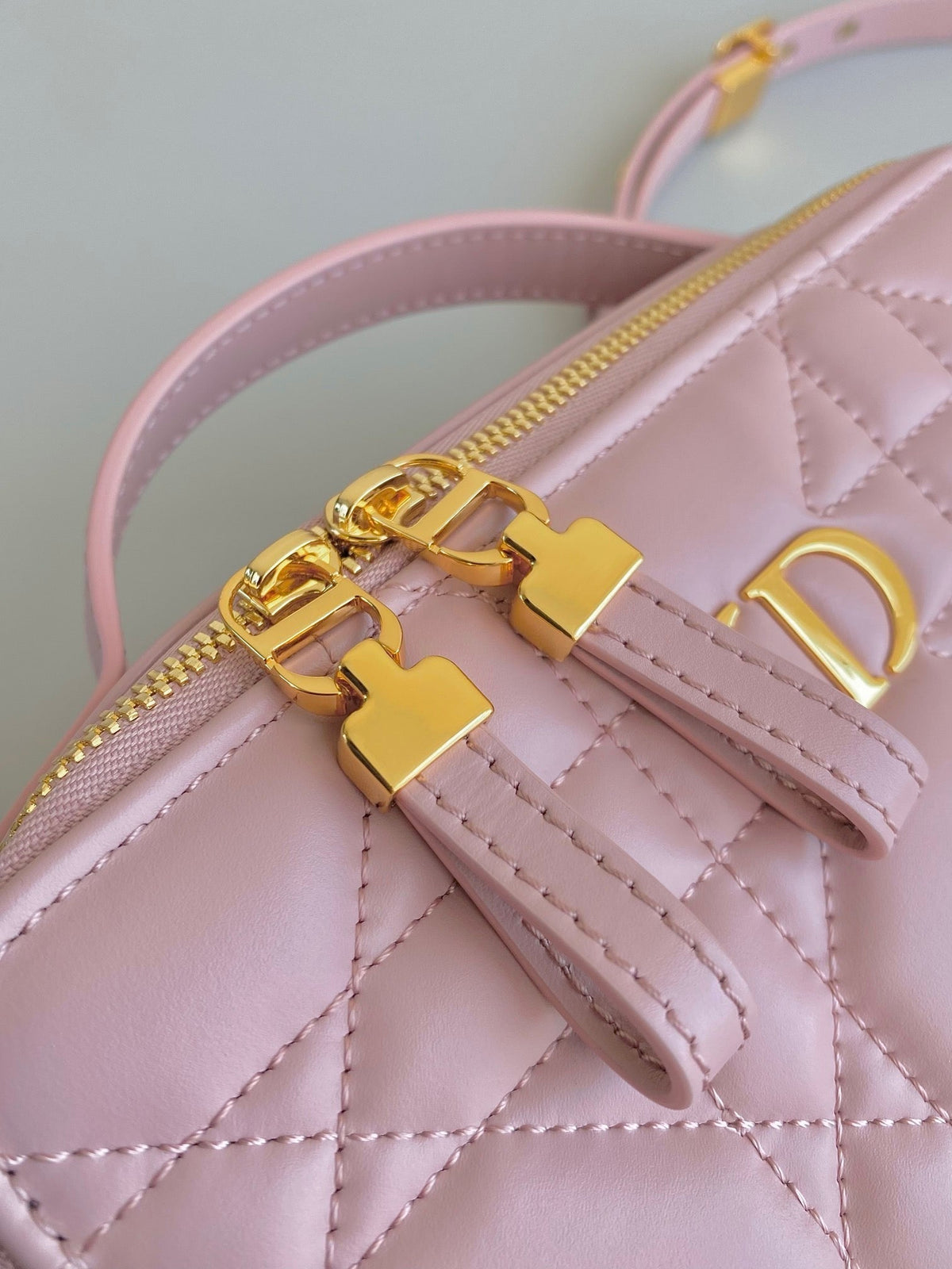 Dior Caro 18 Camera Bag in Light Pink Calfskin